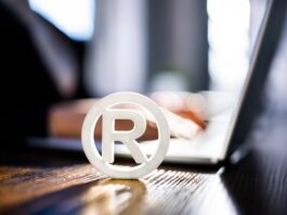 Rights granted by copyright in the US