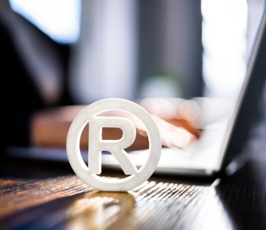 Rights granted by copyright in the US