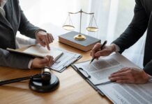 Feminist jurisprudence in the United States